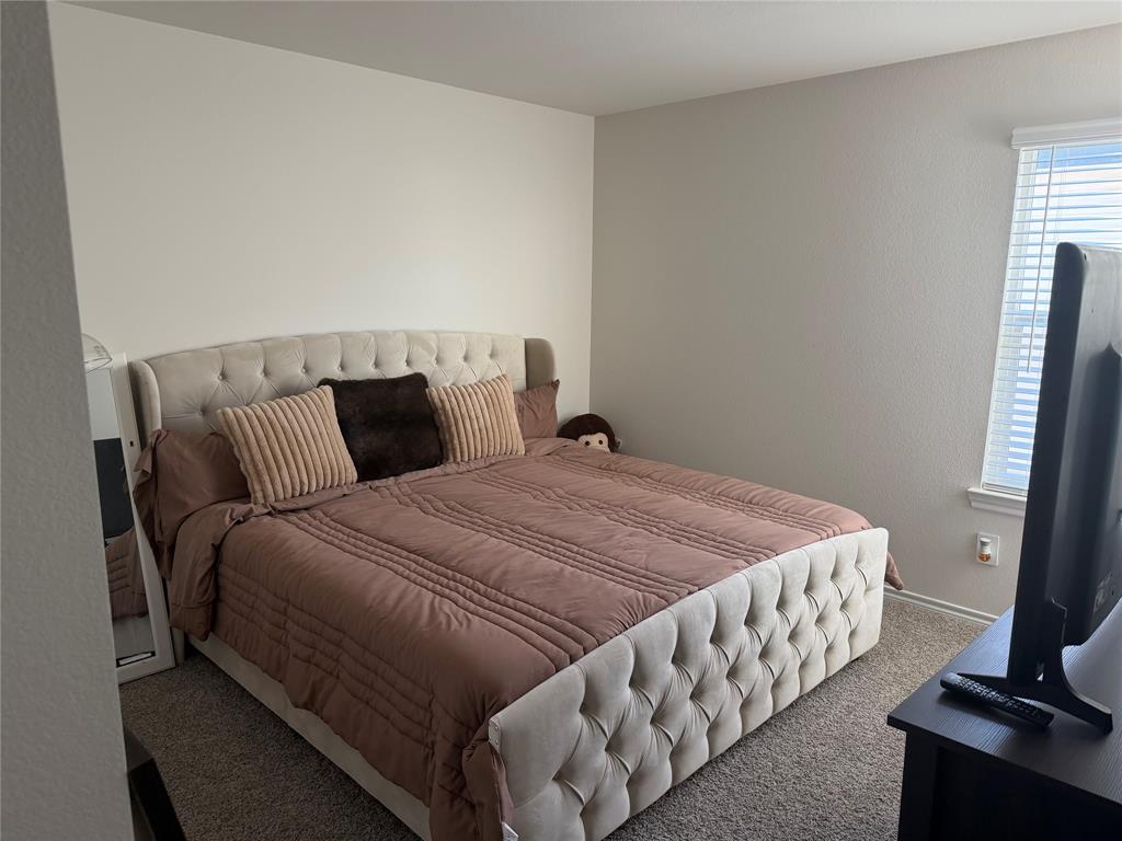 Neutral-toned walls and plush wall-to-wall carpeting with a single window featuring horizontal blinds Neutral-toned walls and plush wall-to-wall carpeting with a single window featuring horizontal blinds