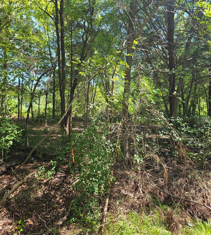 Lot is located walking distance to the lake