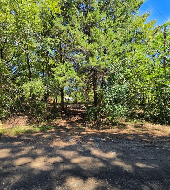 Lot is located walking distance to the lake