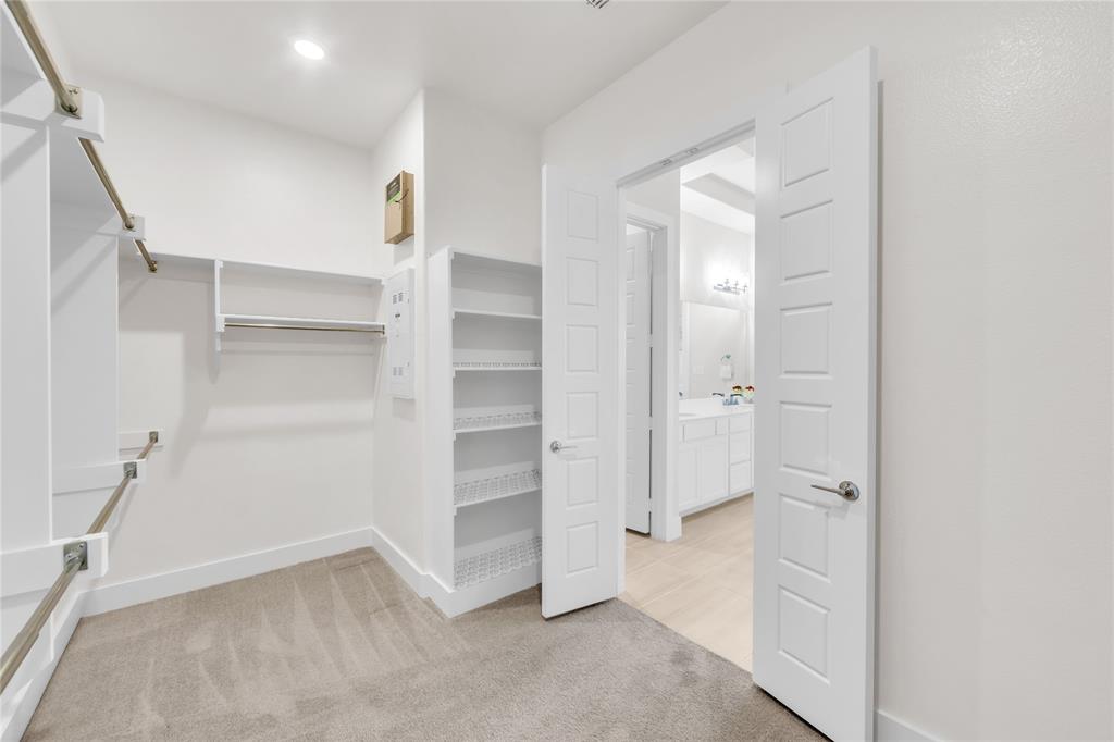 Walk-in closet featuring wall-to-wall carpeting, built-in shelving, metal garment rods, and five-panel interior doors