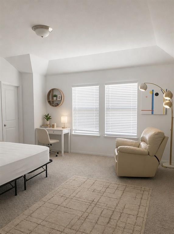 Vaulted ceiling, neutral wall-to-wall carpeting, dual windows with horizontal blinds, and a circular wall-mounted built-in shelving unit Vaulted ceiling, neutral wall-to-wall carpeting, dual windows with horizontal blinds, and a circular wall-mounted built-in shelving unit
