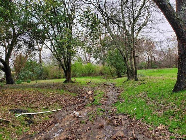 Expansive lot featuring mature hardwood trees, natural terrain, and extensive green space