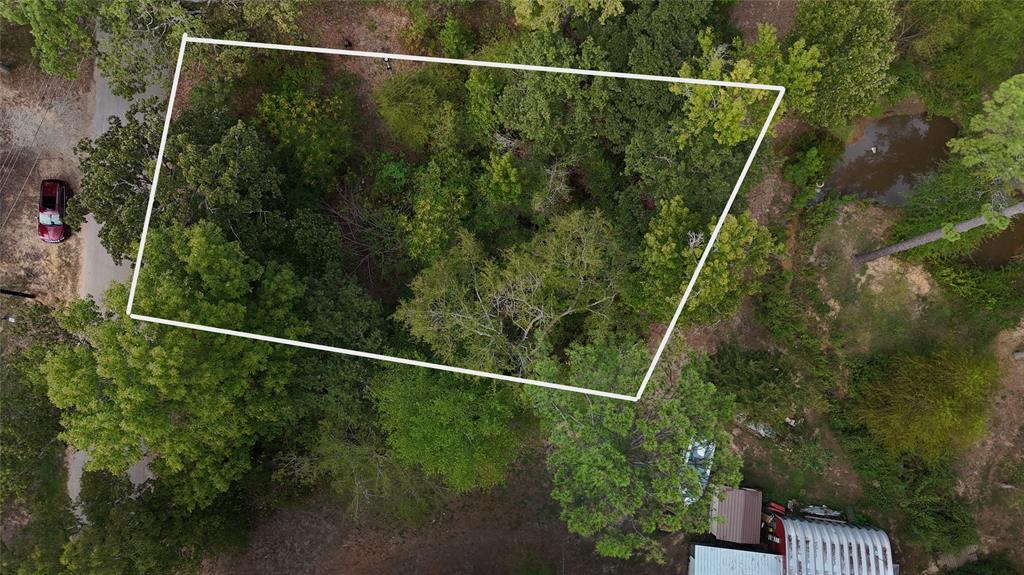 22151 Brierwood Drive, Frankston, TX 75763