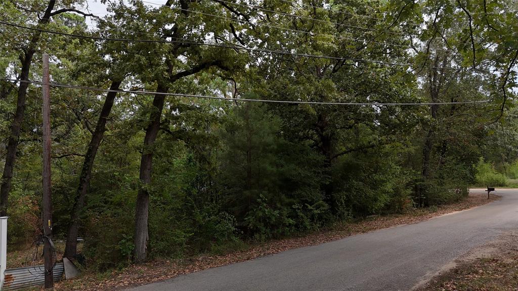 22151 Brierwood Drive, Frankston, TX 75763