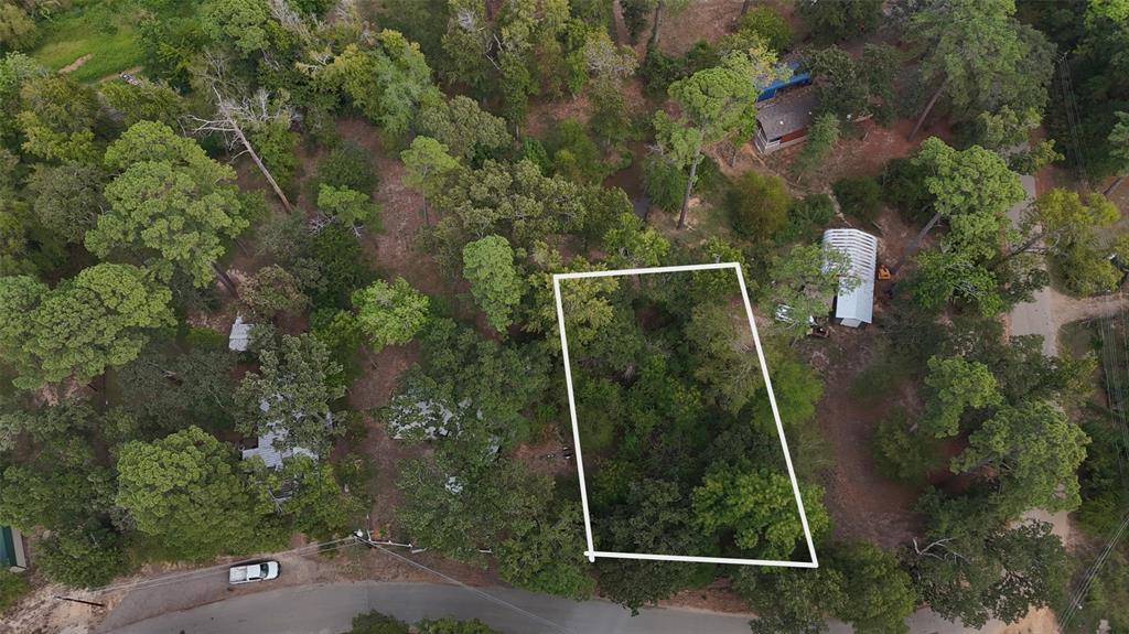 22151 Brierwood Drive, Frankston, TX 75763