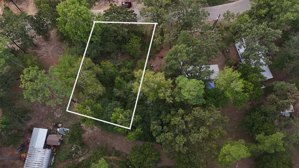 22151 Brierwood Drive, Frankston, TX 75763