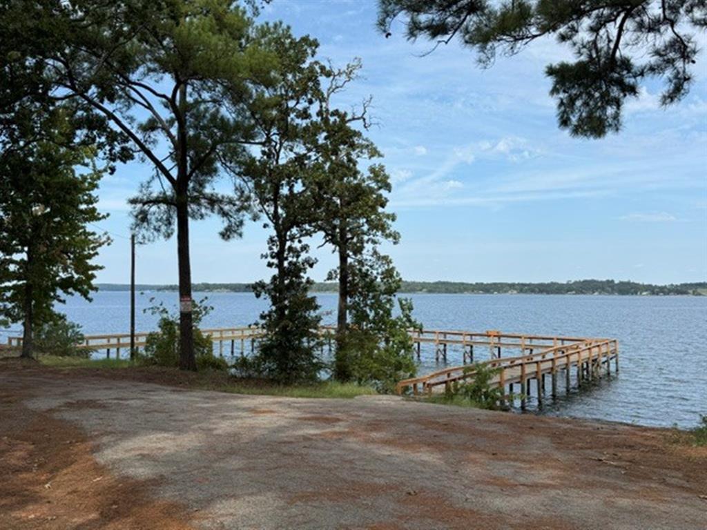 22151 Brierwood Drive, Frankston, TX 75763