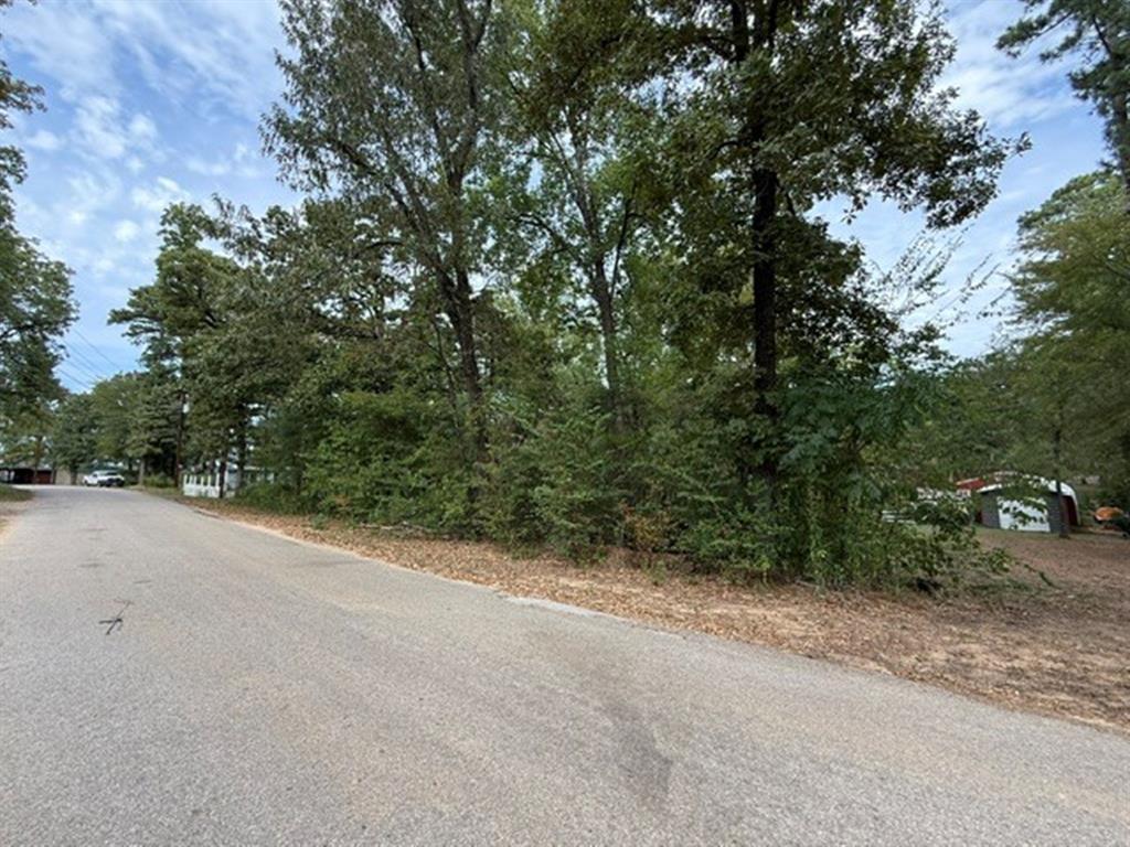 22151 Brierwood Drive, Frankston, TX 75763