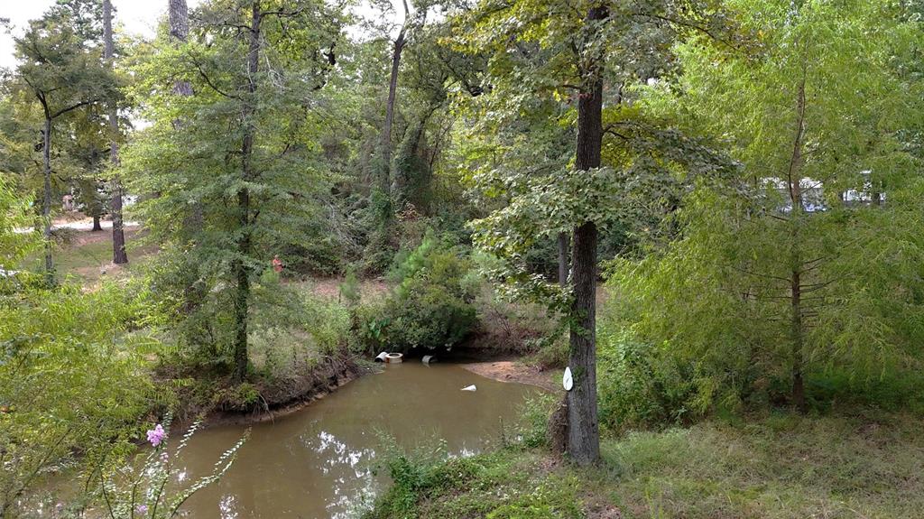 22151 Brierwood Drive, Frankston, TX 75763
