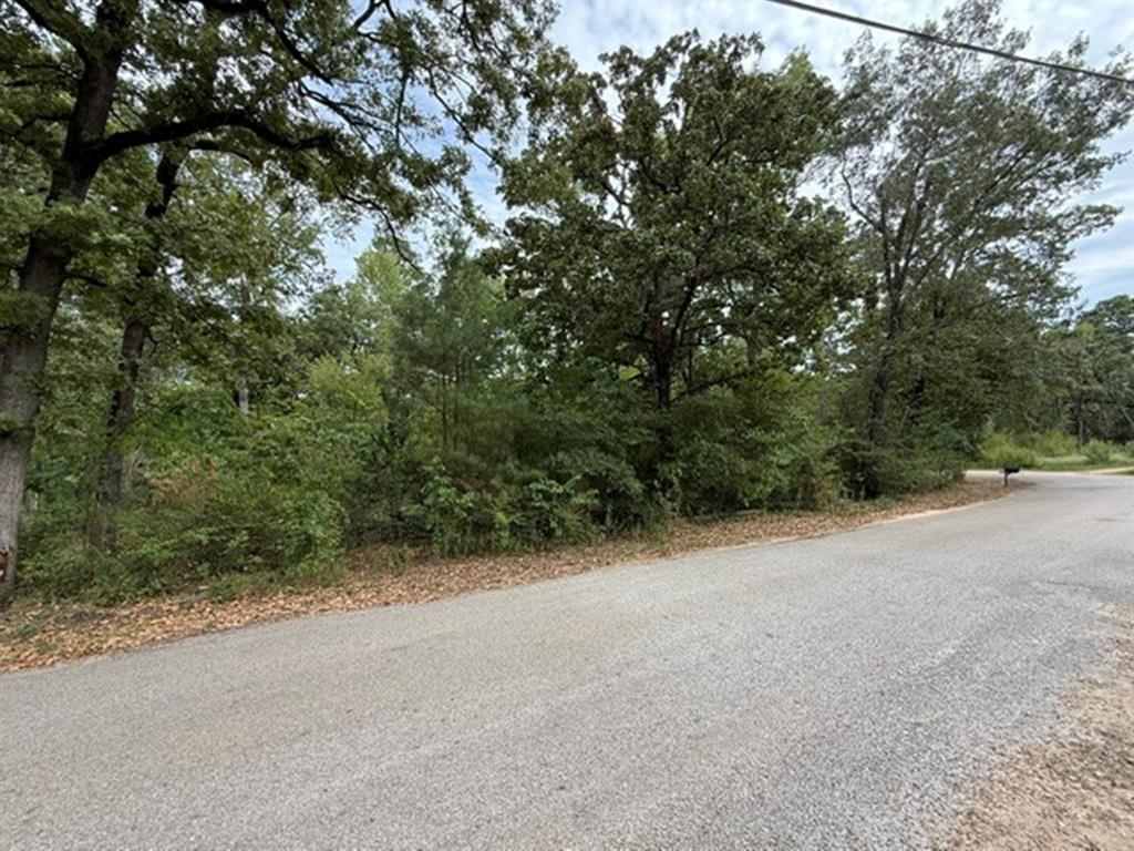 22151 Brierwood Drive, Frankston, TX 75763