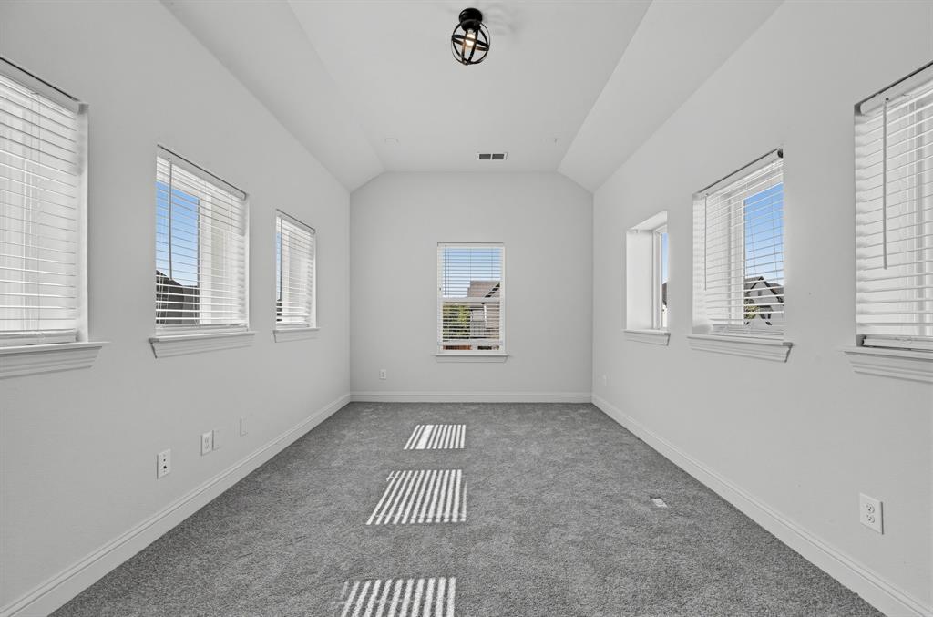 Vaulted ceiling featuring a dark-finish cage pendant light, wall-to-wall carpeting, and five windows with slatted blinds
