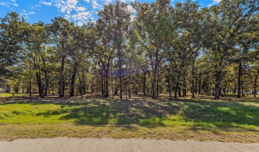 Lot 97 Open Water Point, Quinlan, TX 75474 Lot 97 Open Water Point, Quinlan, TX 75474