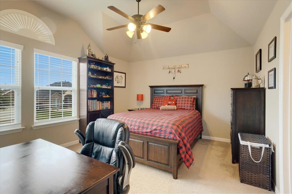 Vaulted ceiling bedroom featuring two windows with horizontal blinds, an arched transom window, a ceiling fan with integrated lighting, and neutral wall paint