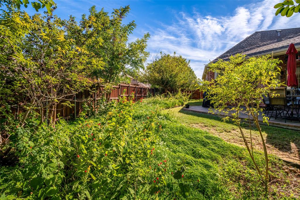 Backyard featuring mature trees, wood-slat fencing, and a concrete patio