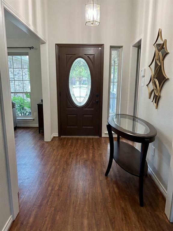 Foyer featuring wood-finish flooring, a solid-core entry door with an oval glass insert, an elongated vertical sidelight, and a hanging geometric lantern pendant fixture