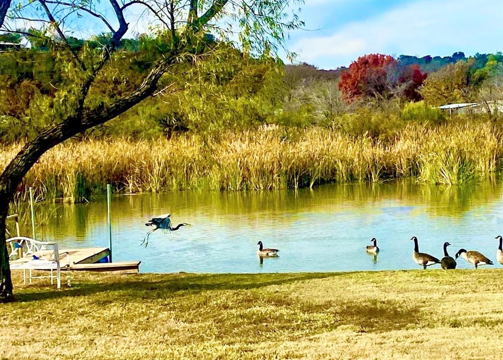 Serene & varied nature as far as you can see