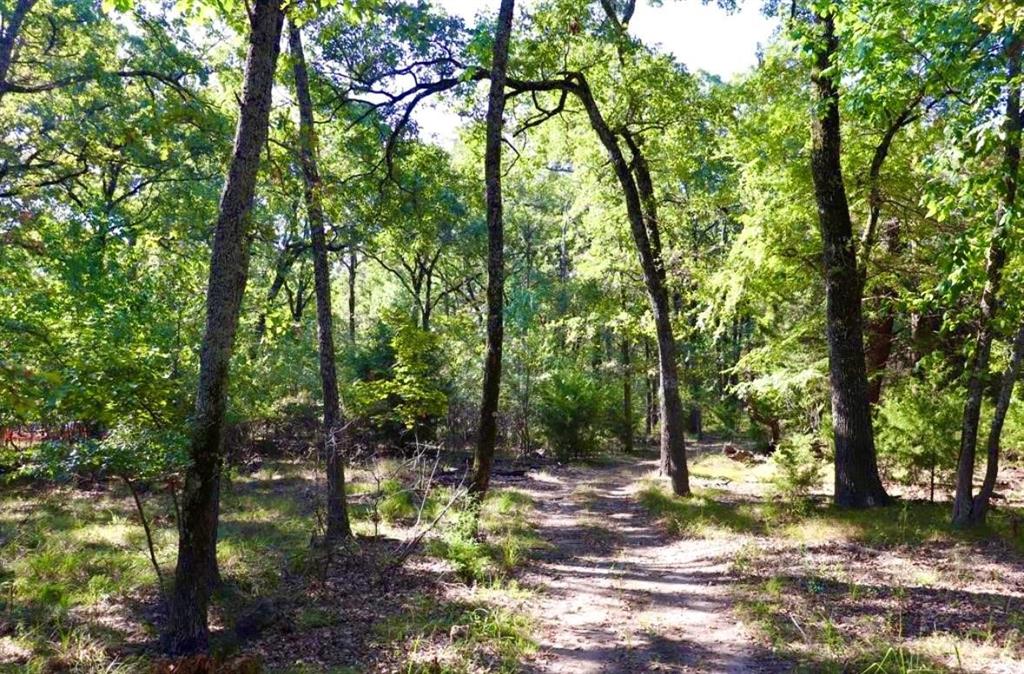 801 Wood Duck Trace, Quinlan, TX 75474