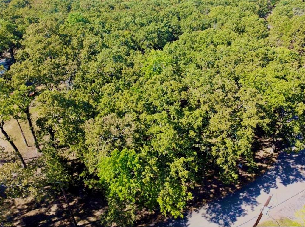 801 Wood Duck Trace, Quinlan, TX 75474
