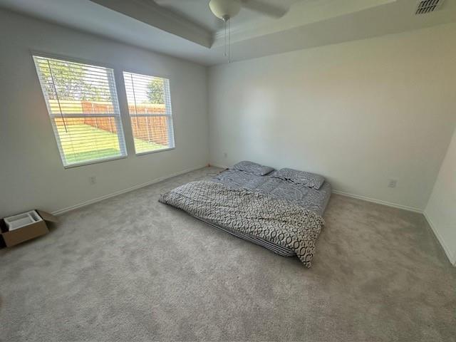 Interior room featuring a tray ceiling, ceiling fan, carpeted flooring, and windows with horizontal blinds