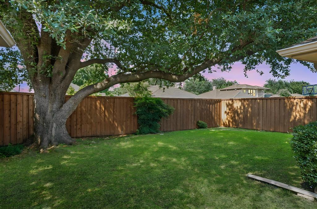 Backyard featuring a grass lawn, mature tree, and vertical wood fencing