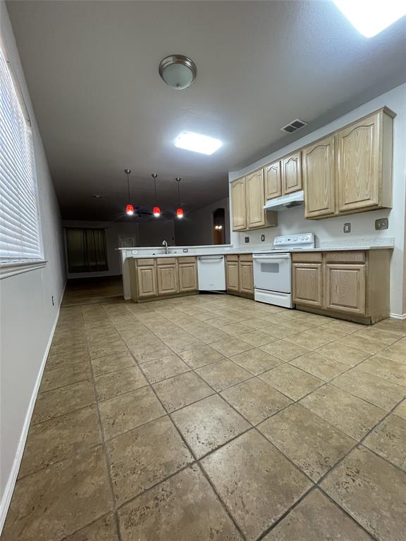 10606 Woodlands Trail, Rowlett, TX 75089