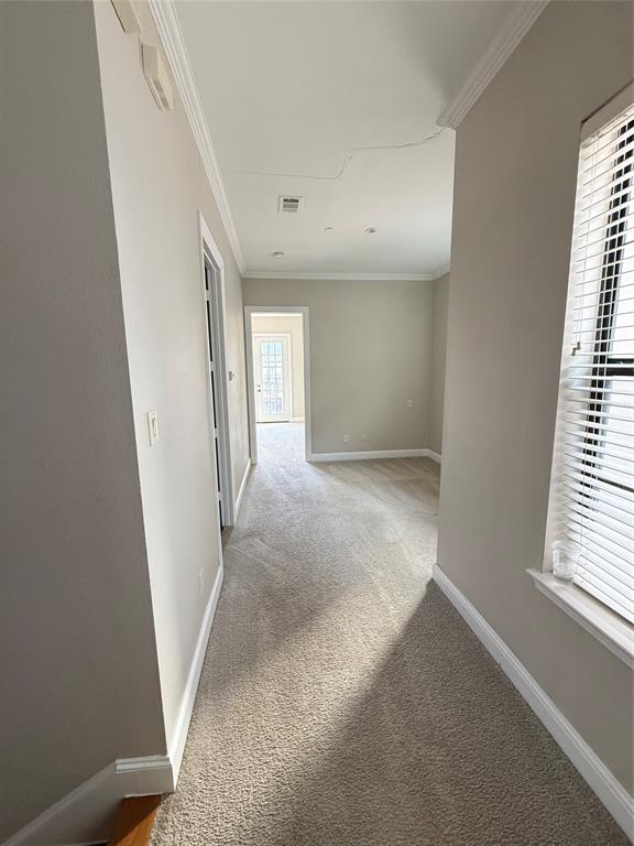 Neutral-toned interior featuring wall-to-wall carpeting, crown molding, and windows fitted with horizontal blinds