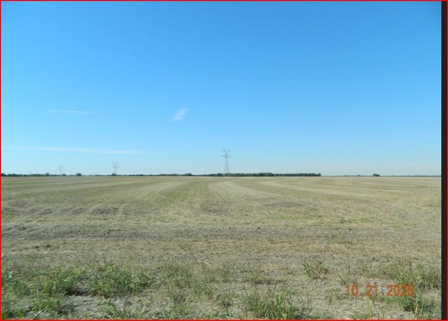 Land View