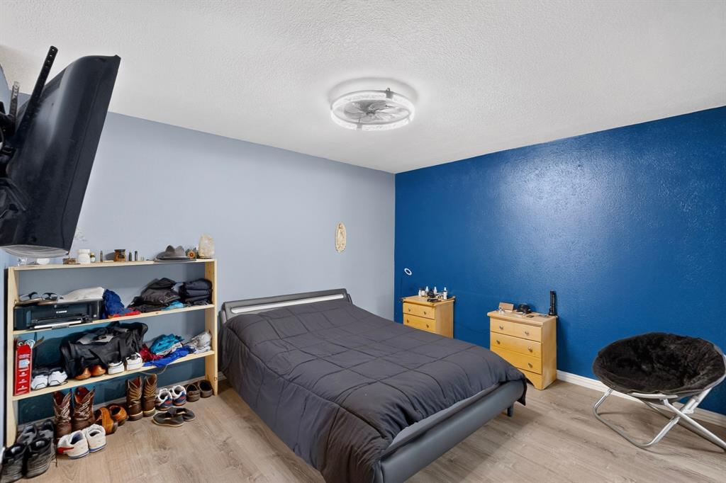 Room featuring wood-finish flooring, a deep blue accent wall, and a low-profile circular flush-mount ceiling fixture with an integrated fan