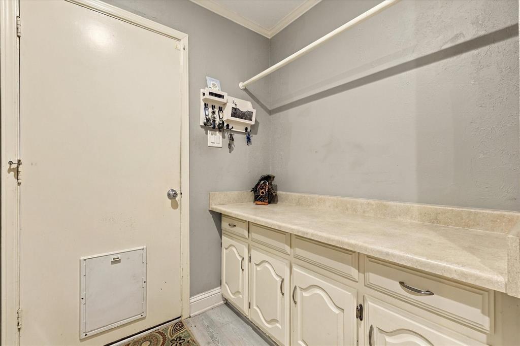 Built-in cabinetry with integrated countertop, wall-mounted hanging rod, and door featuring a pet access panel