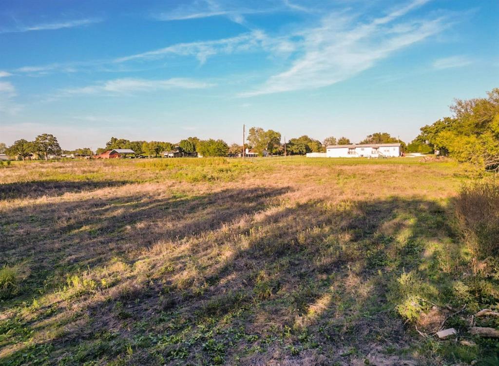 Expansive parcel featuring mature trees, level topography, and open meadow acreage