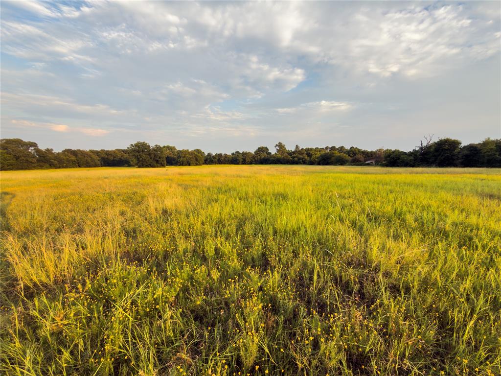 Lot 4 Wilson Road, Waco, TX 76705 Lot 4 Wilson Road, Waco, TX 76705