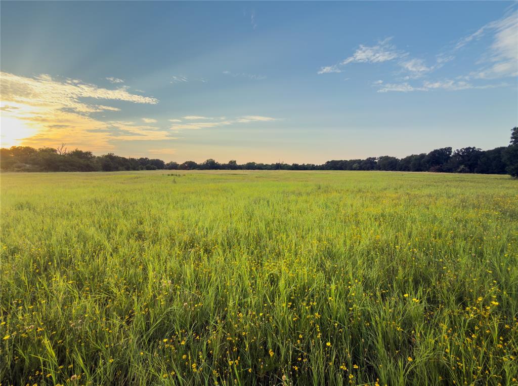 Lot 10 Wilson Road, Waco, TX 76705 Lot 10 Wilson Road, Waco, TX 76705