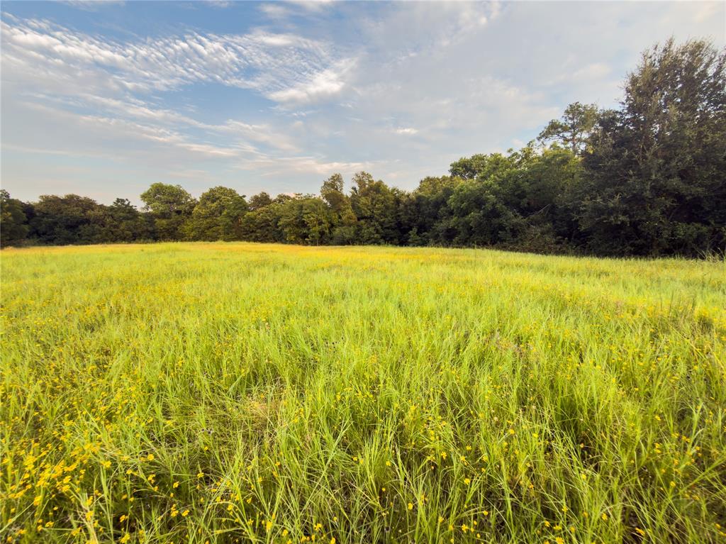 Lot 11 Wilson Road, Waco, TX 76705 Lot 11 Wilson Road, Waco, TX 76705