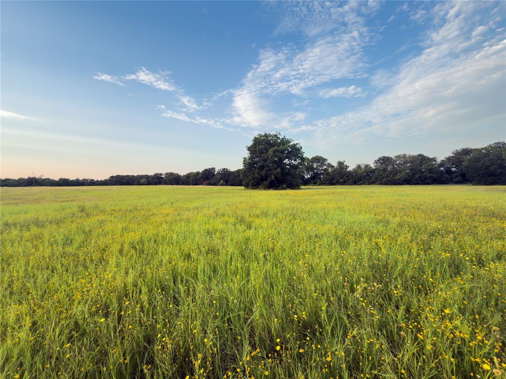 Lot 12 Wilson Road, Waco, TX 76705 Lot 12 Wilson Road, Waco, TX 76705
