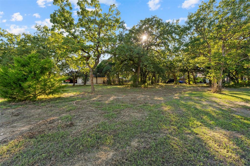 Expansive lot featuring mature native trees and natural landscaping