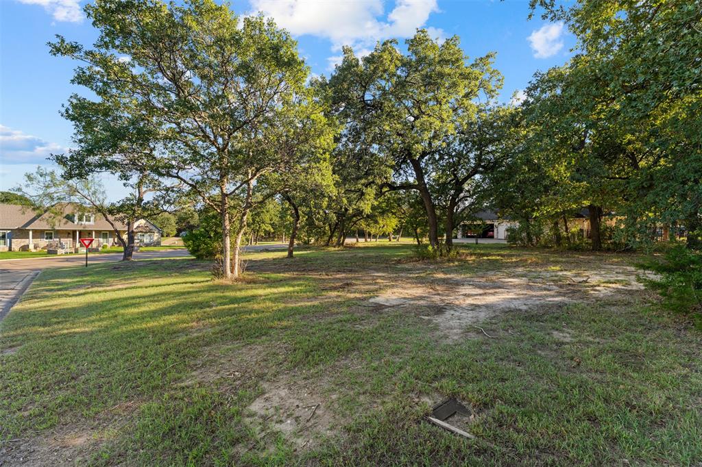 Expansive lot featuring mature hardwood trees and grassy terrain