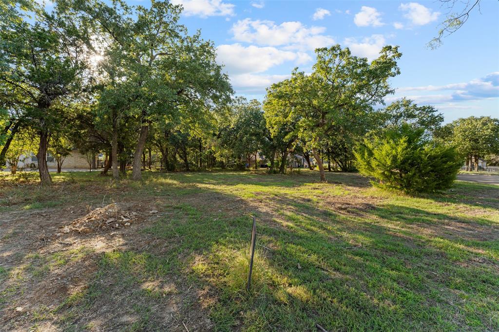 Expansive lot with mature hardwood trees