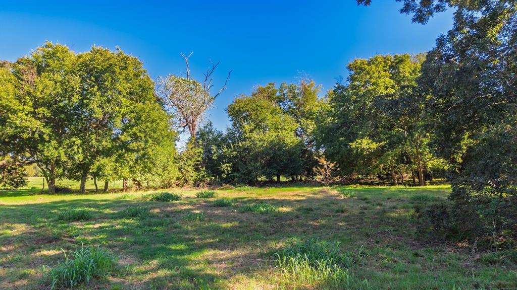 88 Acres County Road 1019, Celeste, TX 75423
