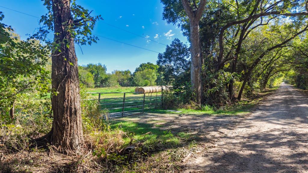 88 Acres County Road 1019, Celeste, TX 75423