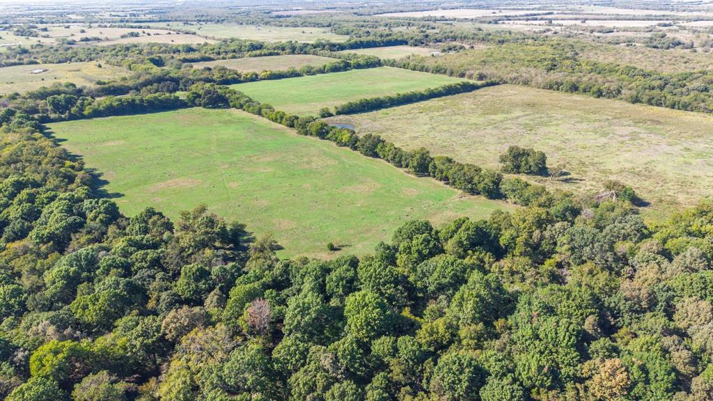 88 Acres County Road 1019, Celeste, TX 75423