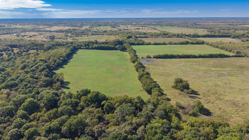 88 Acres County Road 1019, Celeste, TX 75423