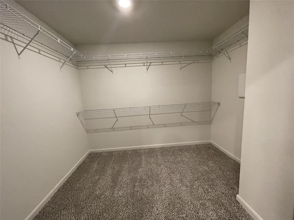 Walk-in closet featuring wall-to-wall carpeting and tiered white wire shelving