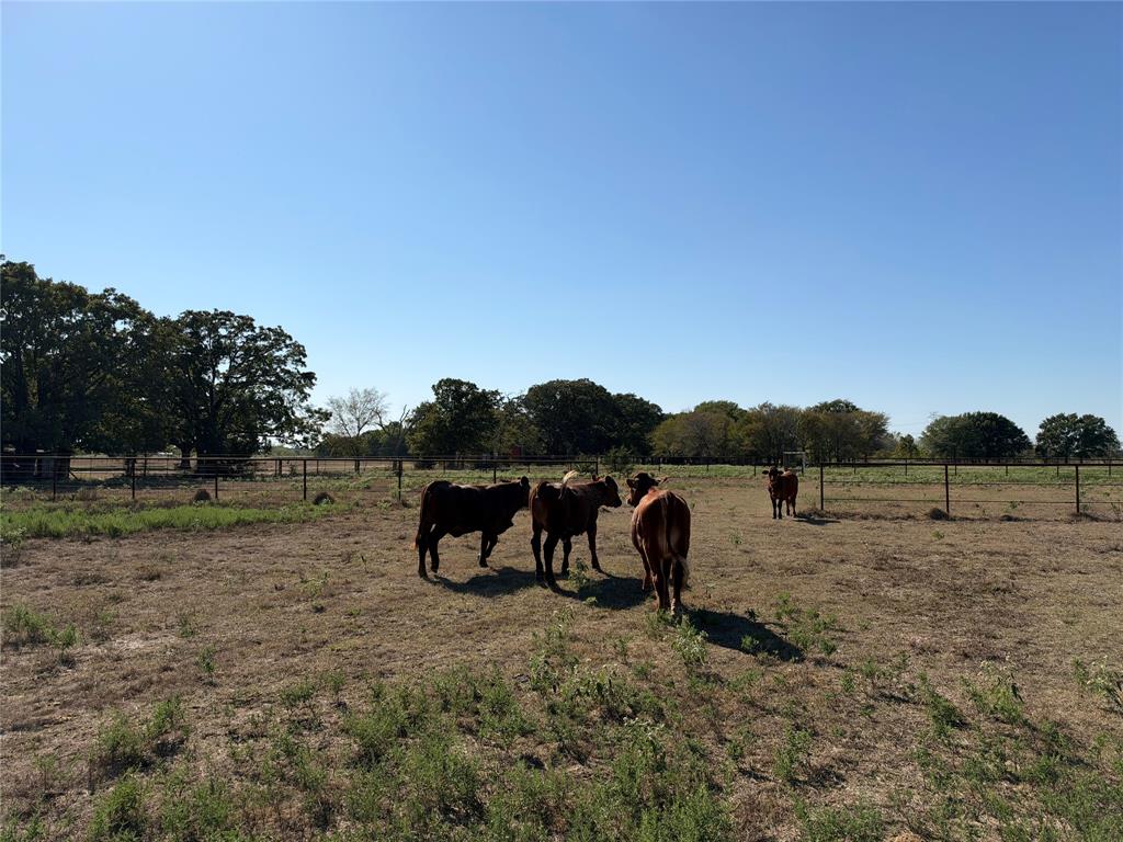 9636 Fm 3094, Scurry, TX 75158
