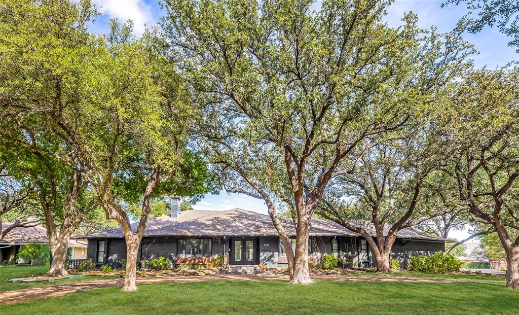 Beautiful setback, slightly elevated, and surrounded by 7 mature Oak trees.