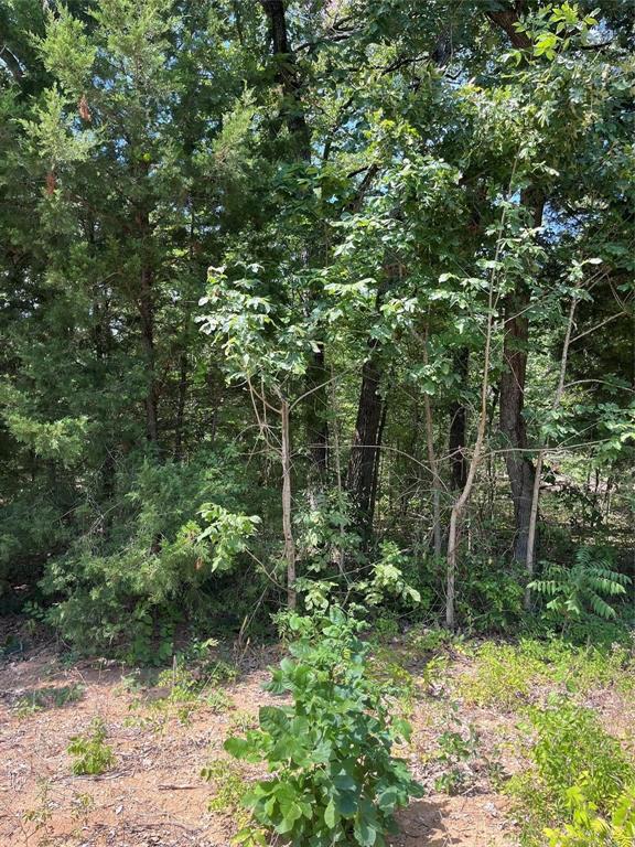106 Red Bluff Loop, Mabank, TX 75156