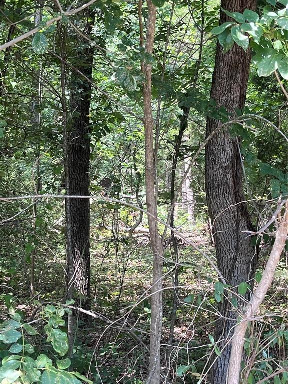 106 Red Bluff Loop, Mabank, TX 75156