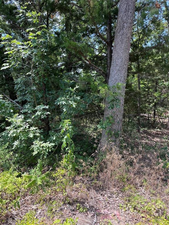 106 Red Bluff Loop, Mabank, TX 75156