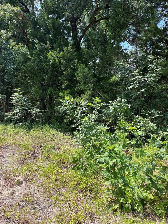 106 Red Bluff Loop, Mabank, TX 75156