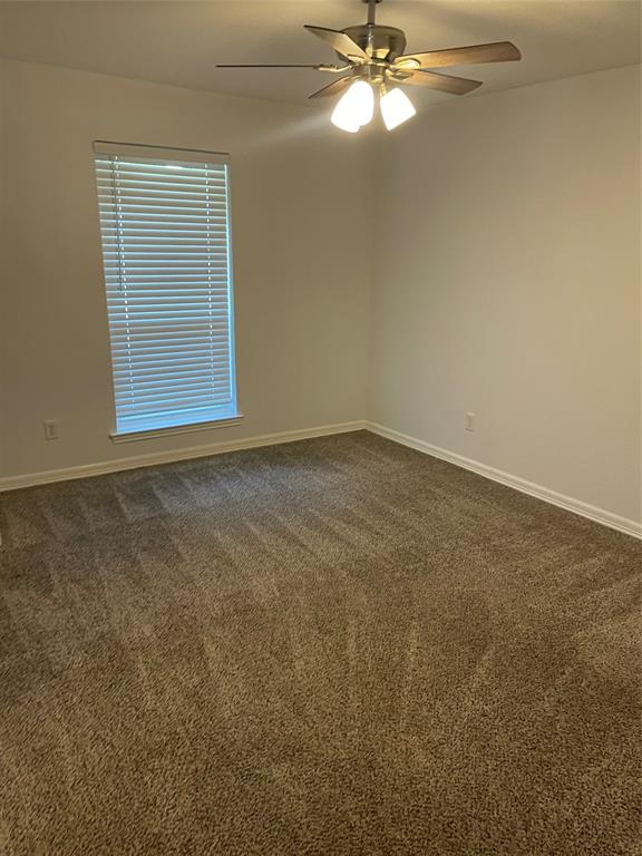 Neutral interior space featuring wall-to-wall carpeting, a multi-blade ceiling fan with integrated light fixture, and a single window with horizontal blinds