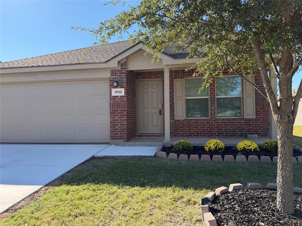 1703 Stonefield Drive, Anna, TX 75409 1703 Stonefield Drive, Anna, TX 75409